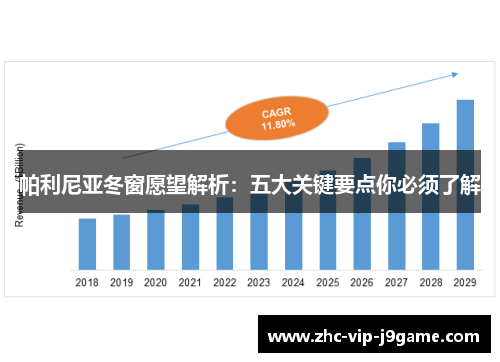 帕利尼亚冬窗愿望解析：五大关键要点你必须了解
