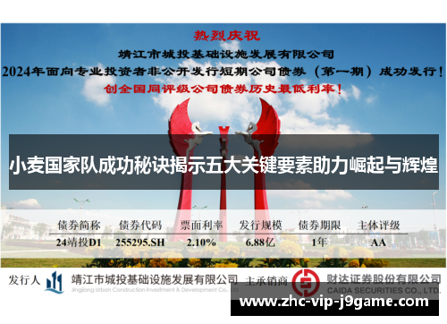 小麦国家队成功秘诀揭示五大关键要素助力崛起与辉煌 小麦国家队成功秘诀揭示五大关键要素助力崛起与辉煌