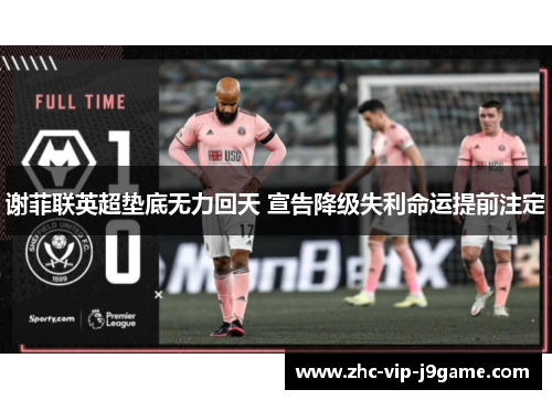 谢菲联英超垫底无力回天 宣告降级失利命运提前注定